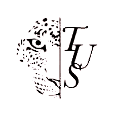 theuniqueshow_logo